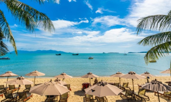 PORTO DE GALINHAS